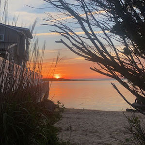 Meet your Posher, Monica